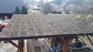 taimekatus murukatus